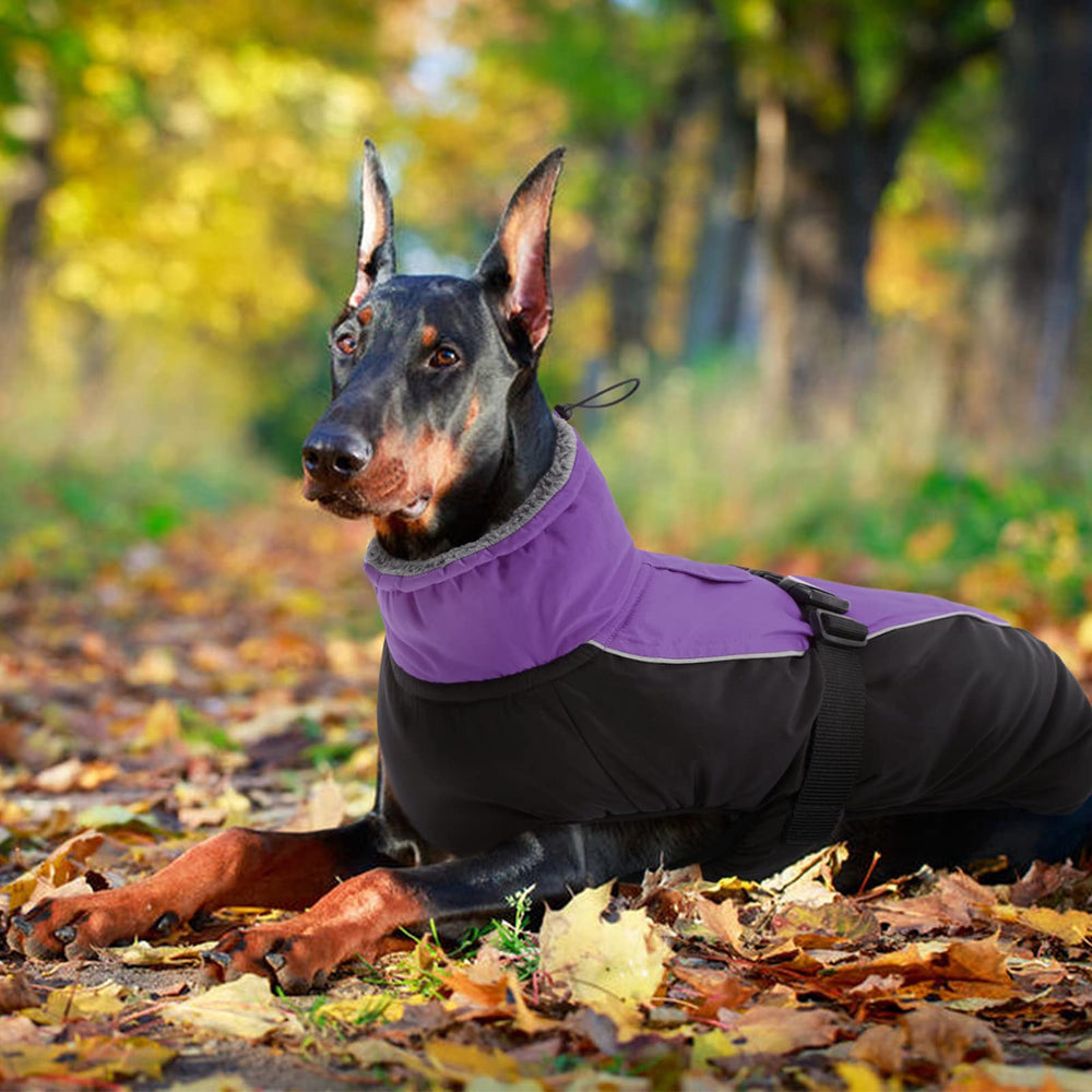 IDOMIK capa invierno perros, disponible en seis tallas para todos los tamaños.