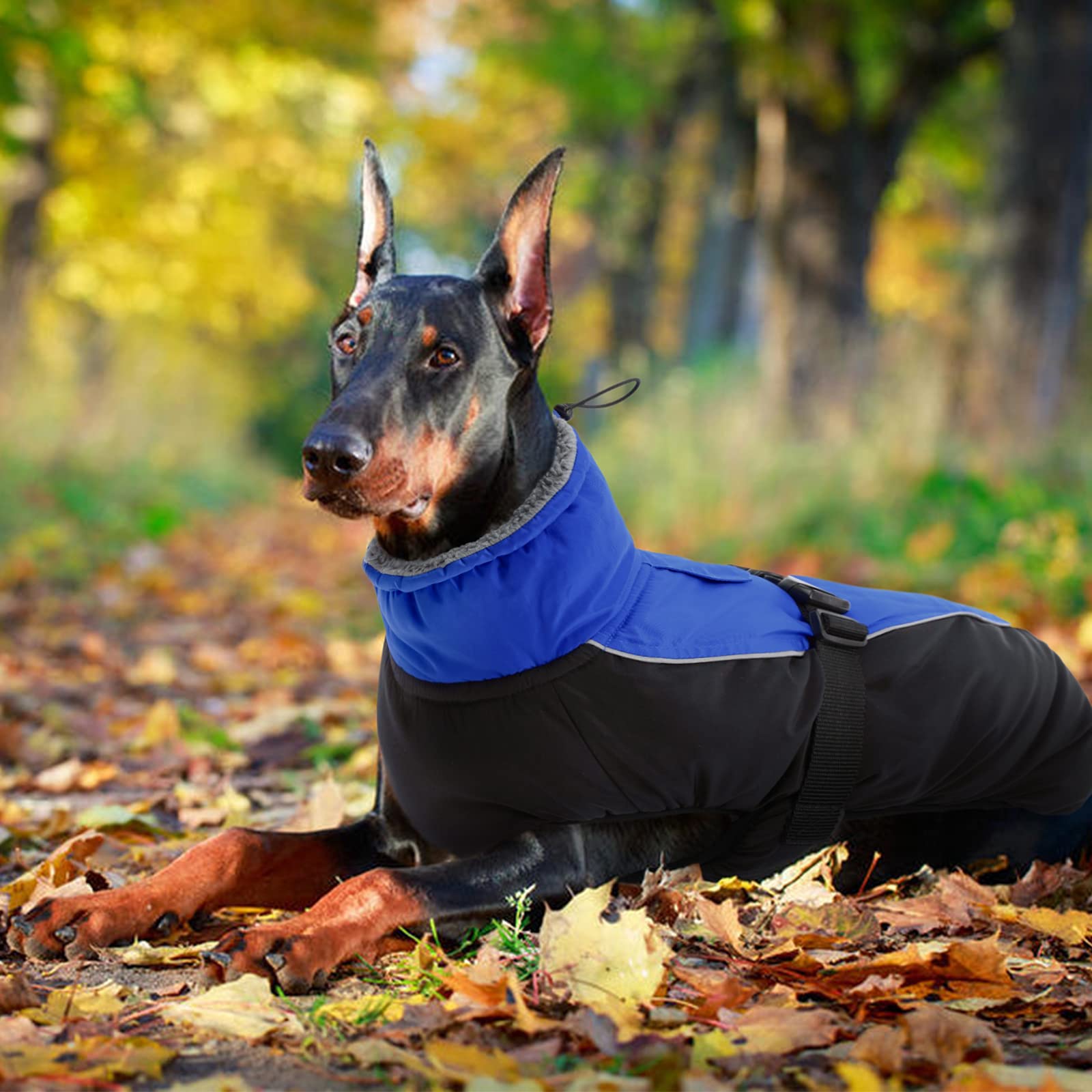 IDOMIK chaqueta en 6 tallas, lavable a máquina para uso diario