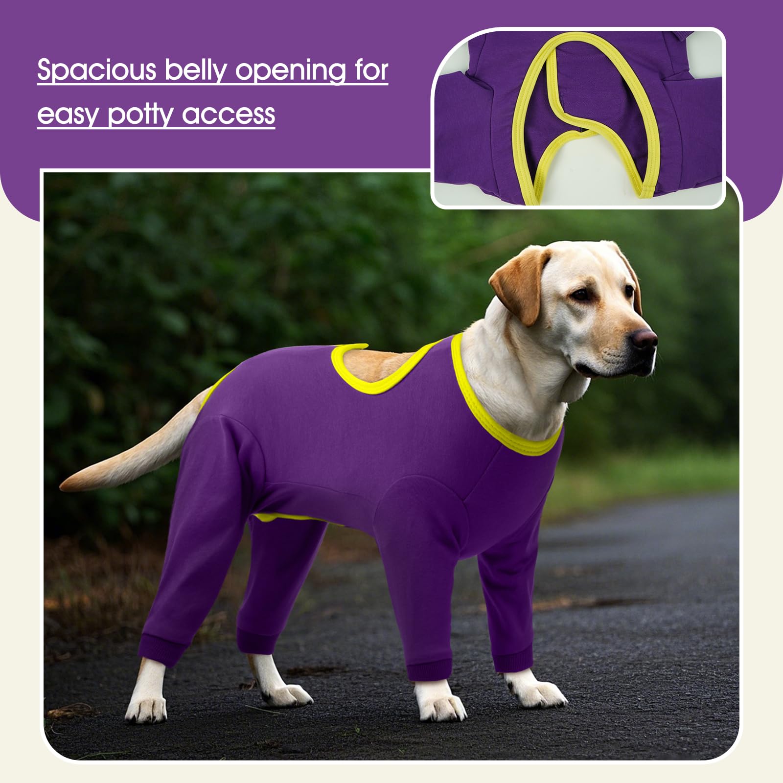 IDOMIK diseño anti lamido para perros, enfoque en evitar lamer heridas