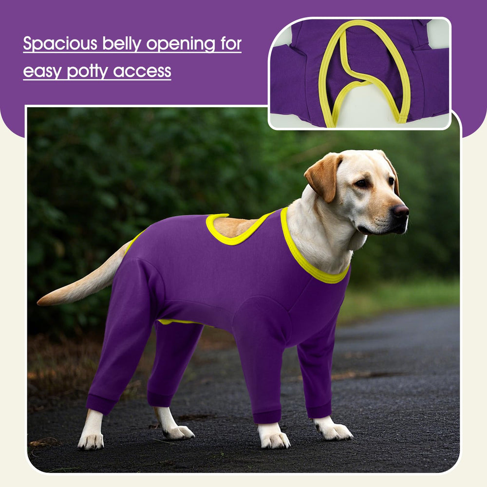IDOMIK diseño anti lamido para perros, enfoque en evitar lamer heridas
