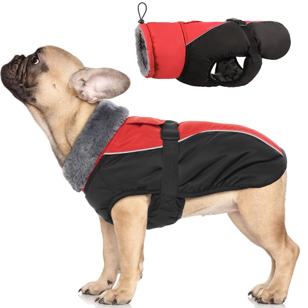 IDOMIK abrigo para perros, vista frontal, mantiene al animal cálido y seco.