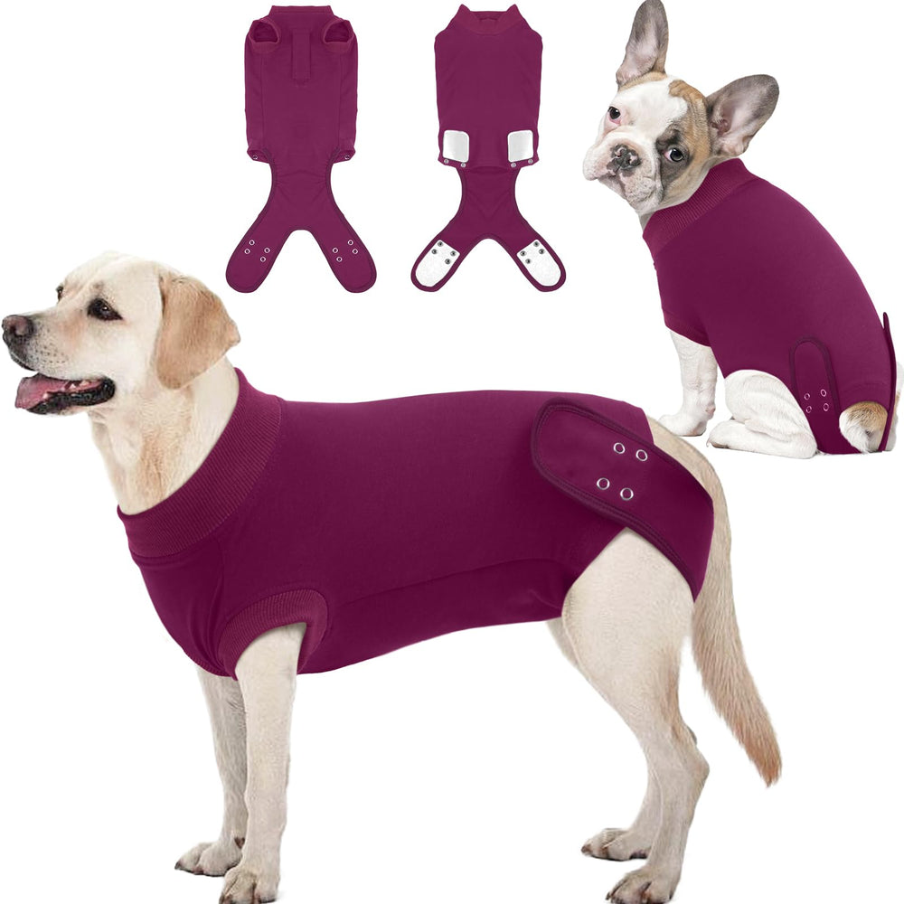 IDOMIK traje de recuperación para perro femenino - frente: ayuda a evitar que lama la herida.