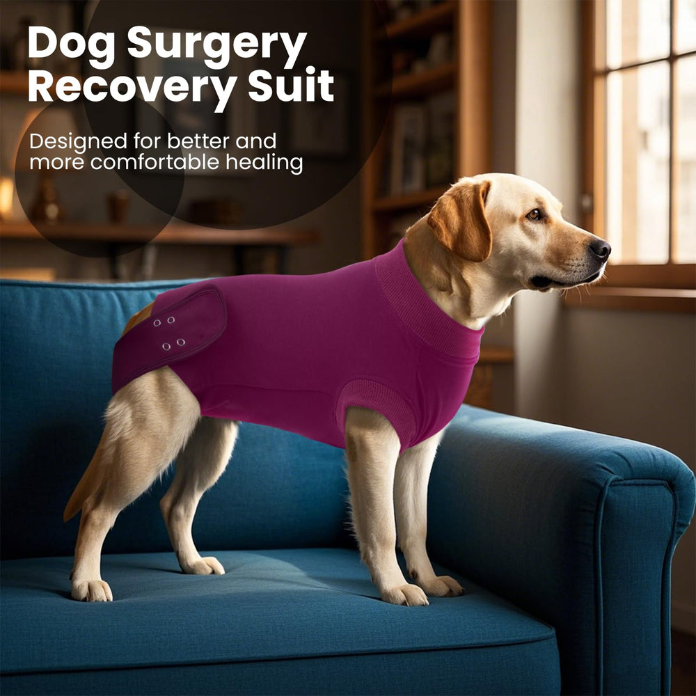 IDOMIK talla ajustable para perros medianos a grandes protege abdomen.