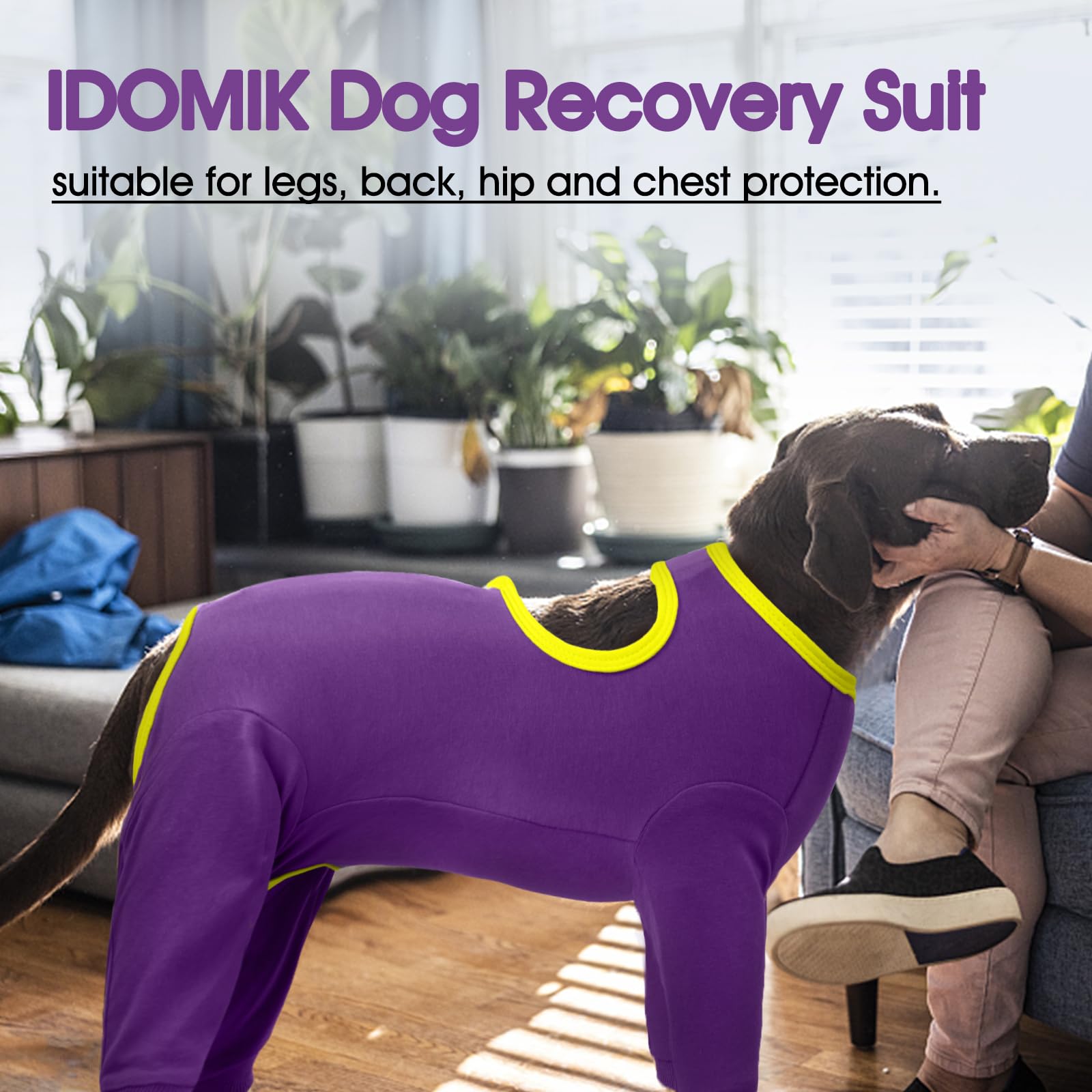 IDOMIK tallas S a 3XL, enfoque en ajuste perfecto para razas variadas