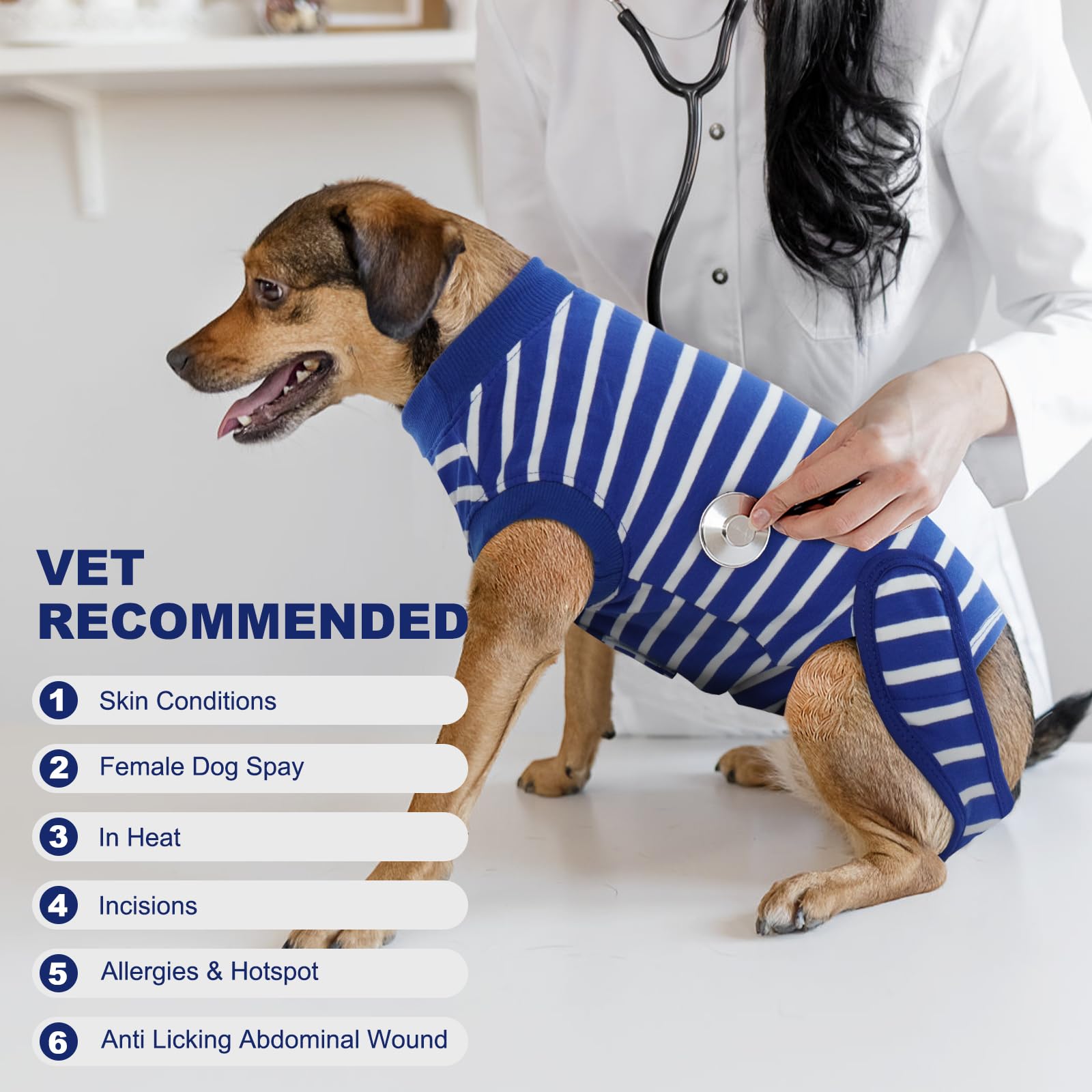 IDOMIK tejido transpirable para recuperación diaria del perro.