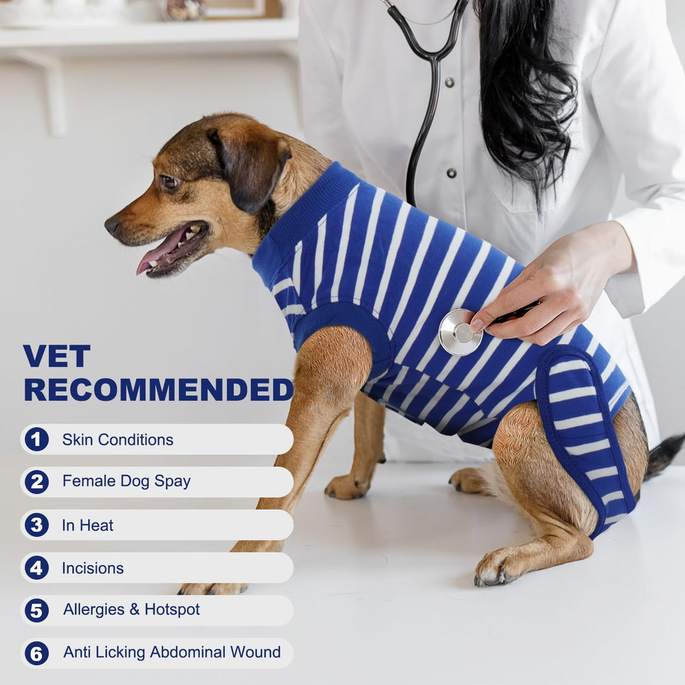 IDOMIK tejido transpirable para recuperación diaria del perro.