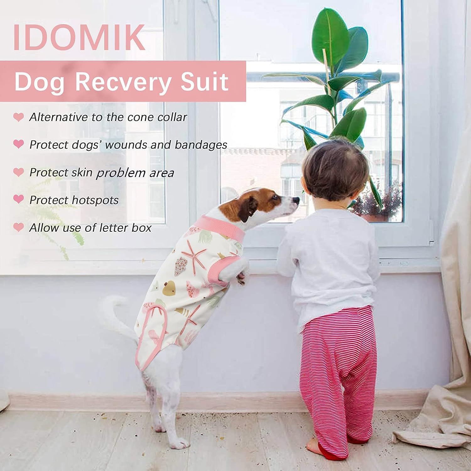 IDOMIK traje recuperación perro, cierres de cinta mágica para colocar sin molestar.