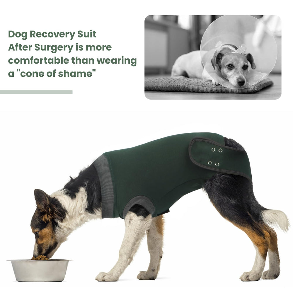 IDOMIK traje de recuperación para perros, cierre de velcro, colocación rápida sin molestar.