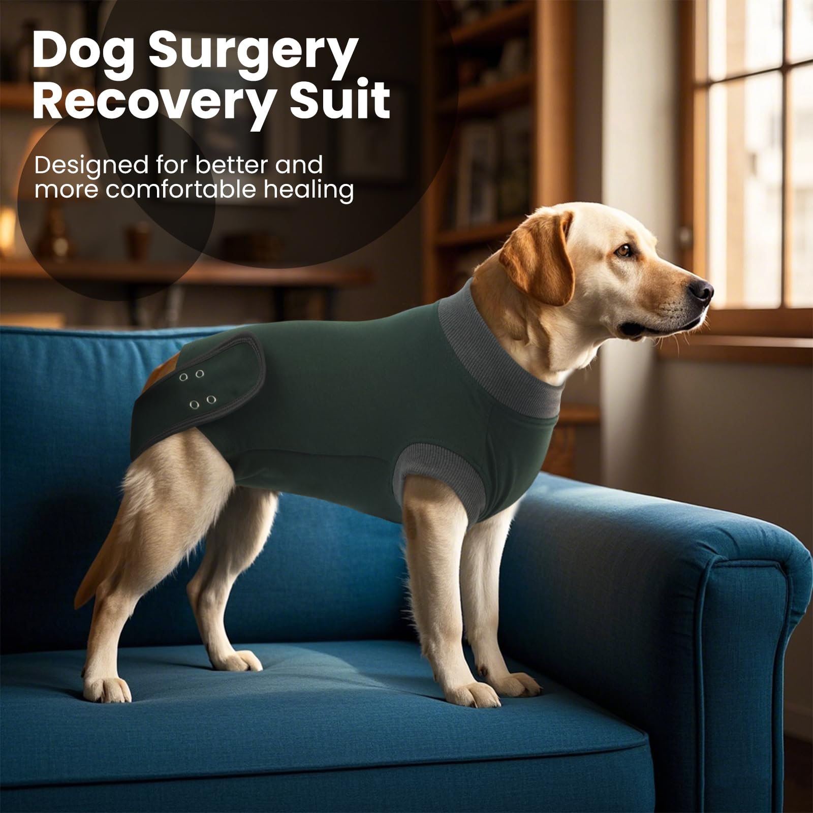IDOMIK traje de recuperación para perros, lavable a máquina, mantiene suavidad tras lavados.