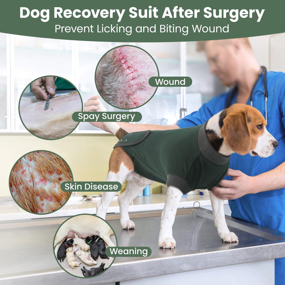 IDOMIK traje de recuperación para perros, vientre, cintura ajustable para un ajuste seguro.