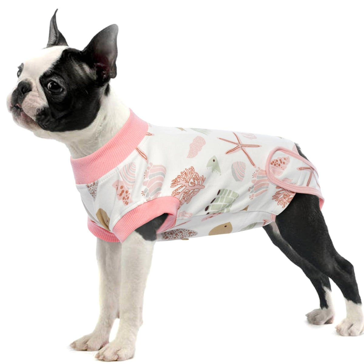 IDOMIK traje recuperación para perro mujer esterilización, evita lamer la herida abdominal.