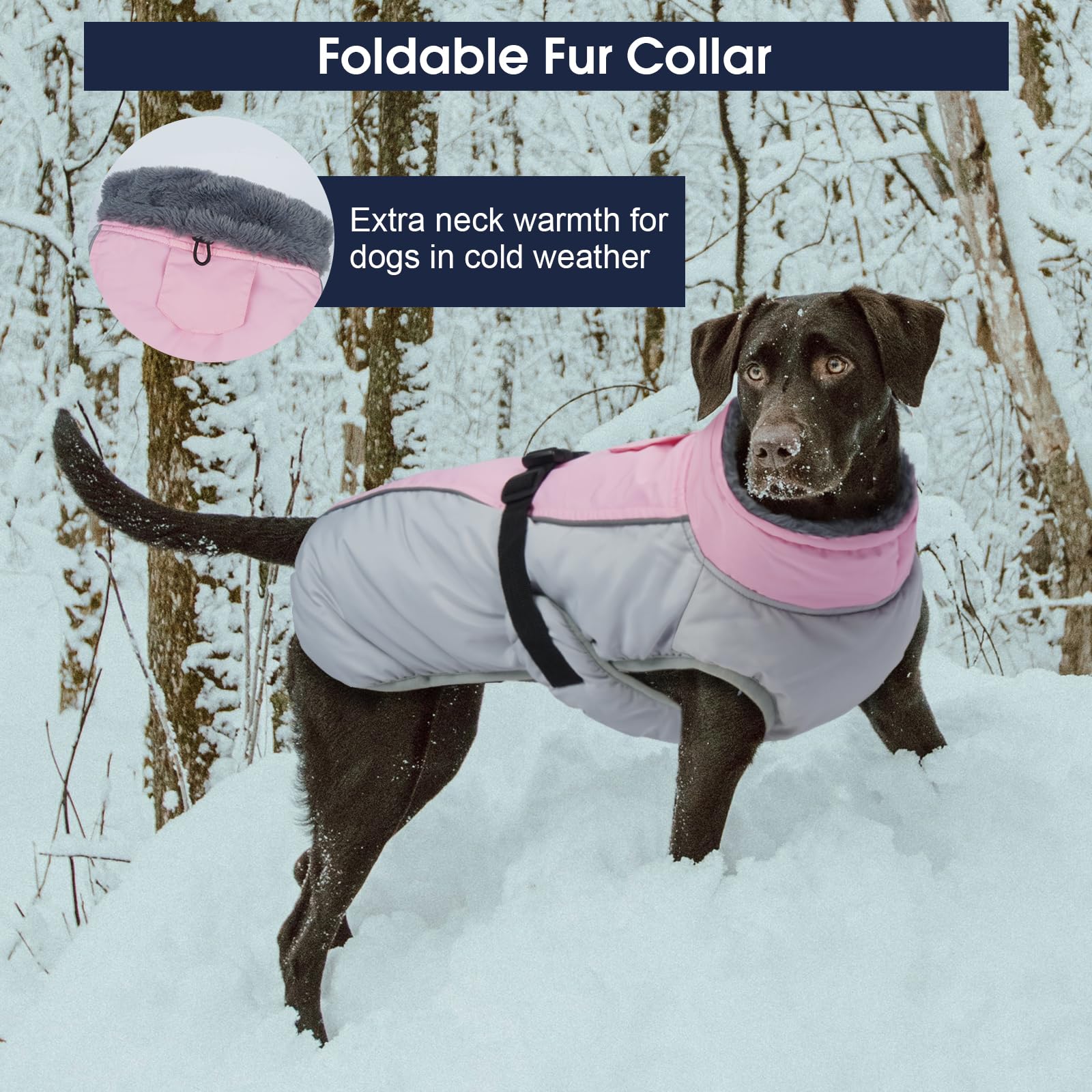 IECOii abrigo para perros XXL - lavable a máquina para limpieza fácil.