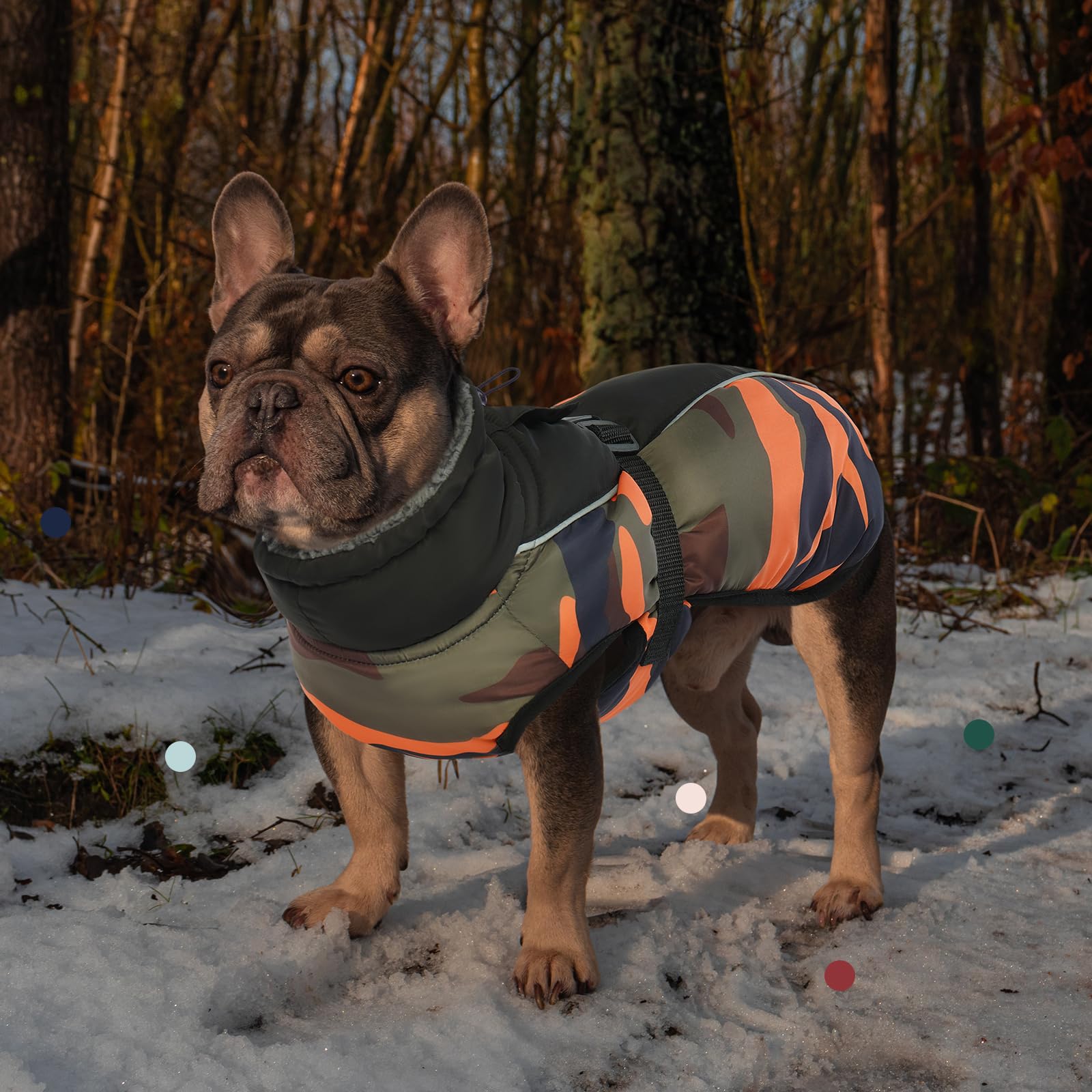 IECOii abrigo para perro con correas ajustables en el abdomen para un ajuste estable.
