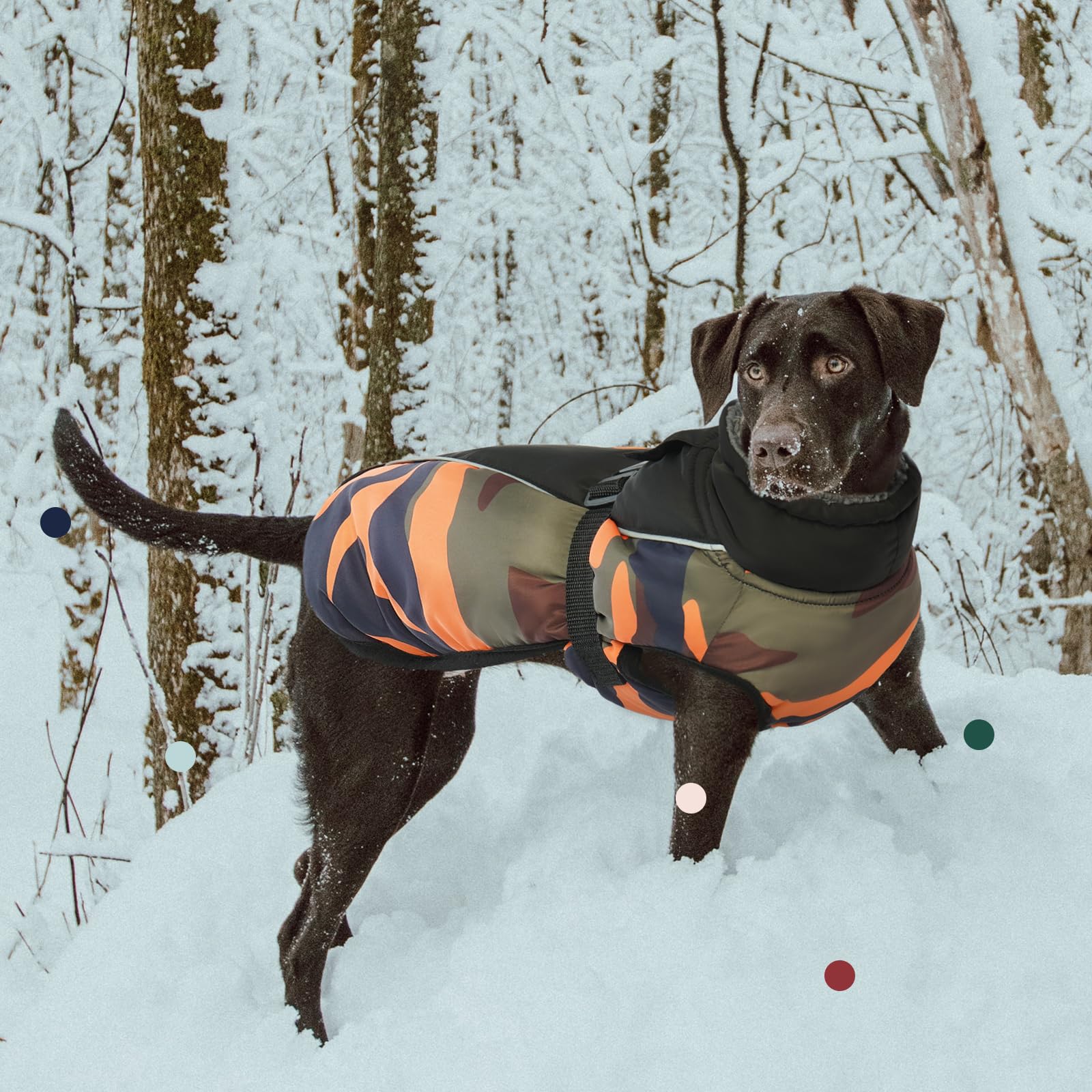IECOii abrigo para perro con orificio para arnés para paseos seguros.