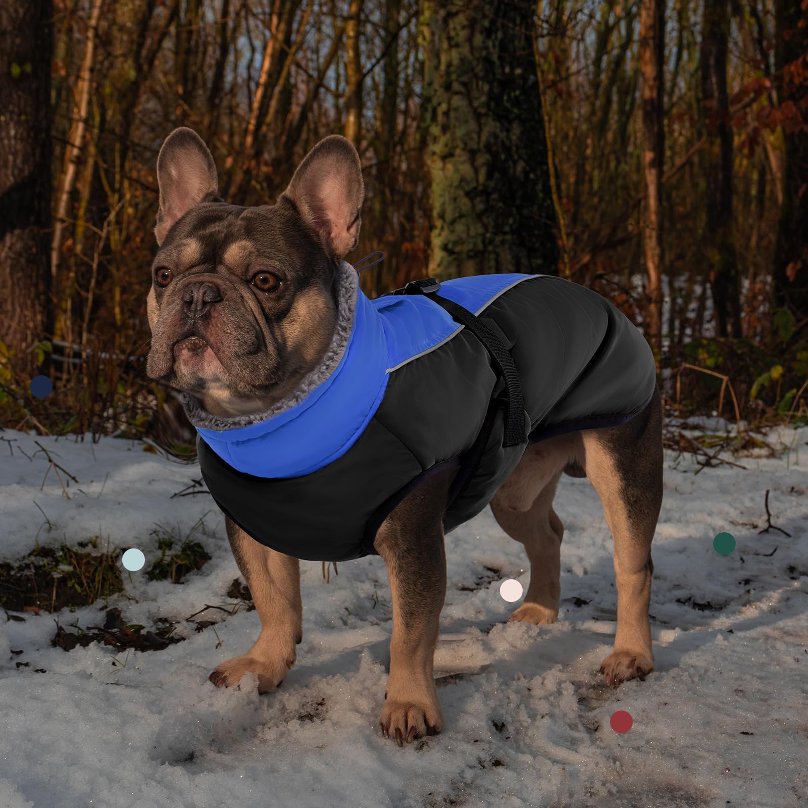 IECOii abrigo invernal suave para paseos al aire libre