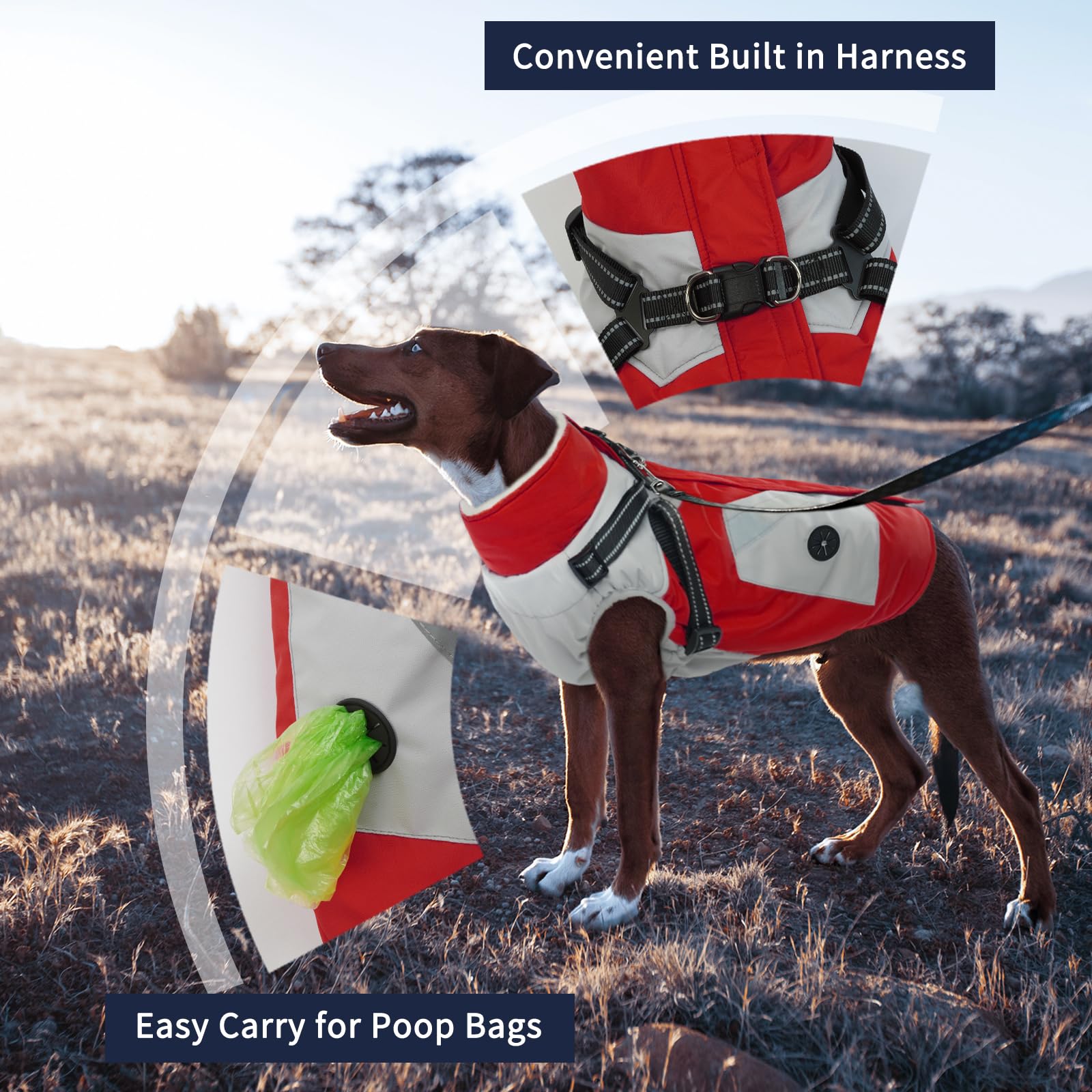IECOii capa para perro con arnés rojo, vista trasera, ajuste seguro para paseos.