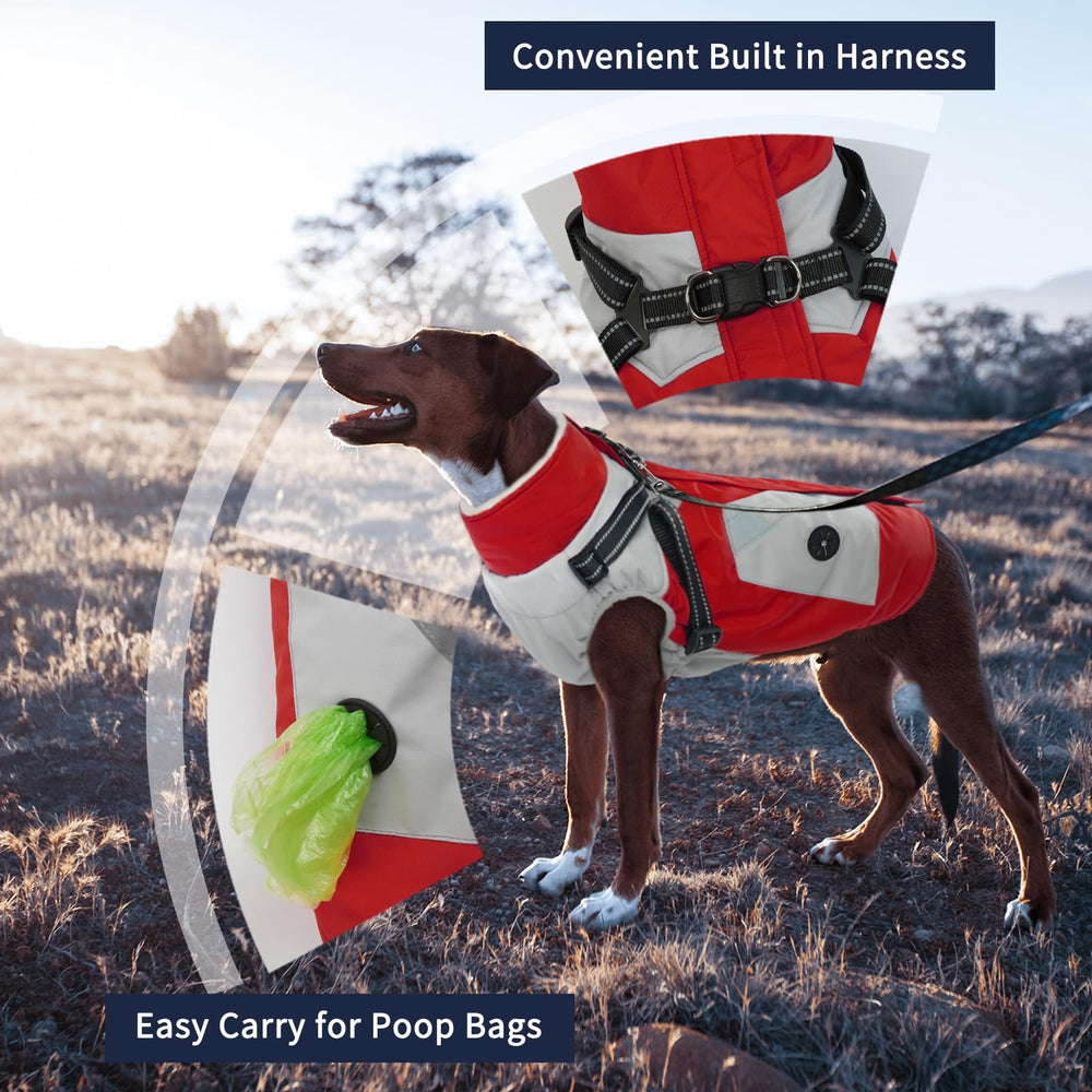IECOii capa para perro con arnés rojo, vista trasera, ajuste seguro para paseos.