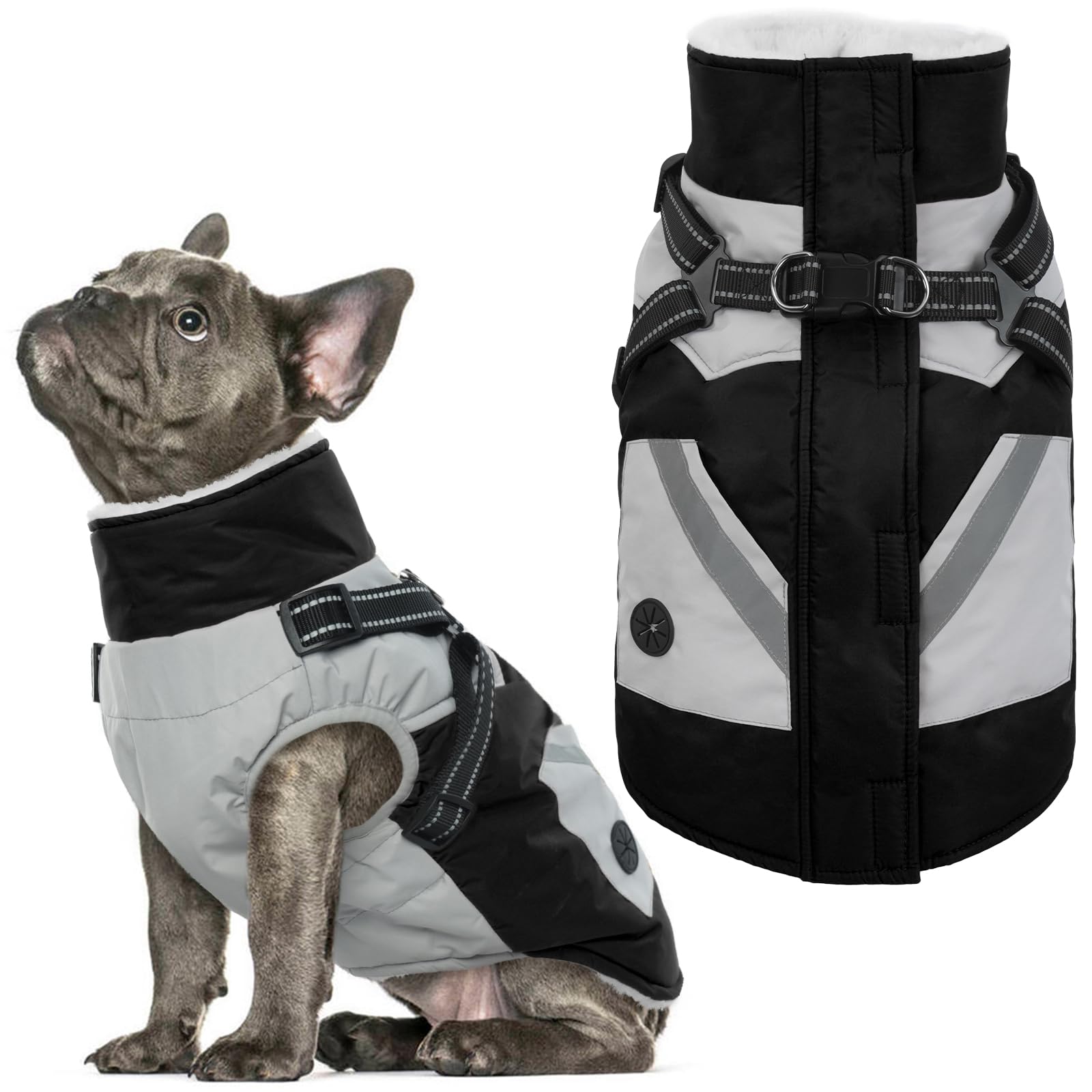 IECOii chaleco para perro con arnés integrado, vista frontal para paseos seguros.