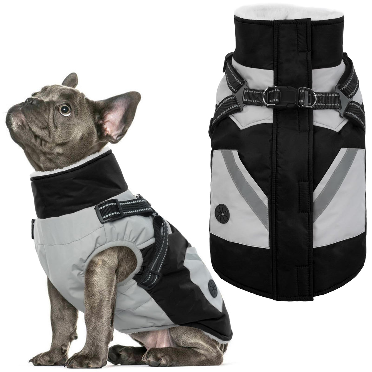 IECOii chaleco para perro con arnés integrado, vista frontal para paseos seguros.