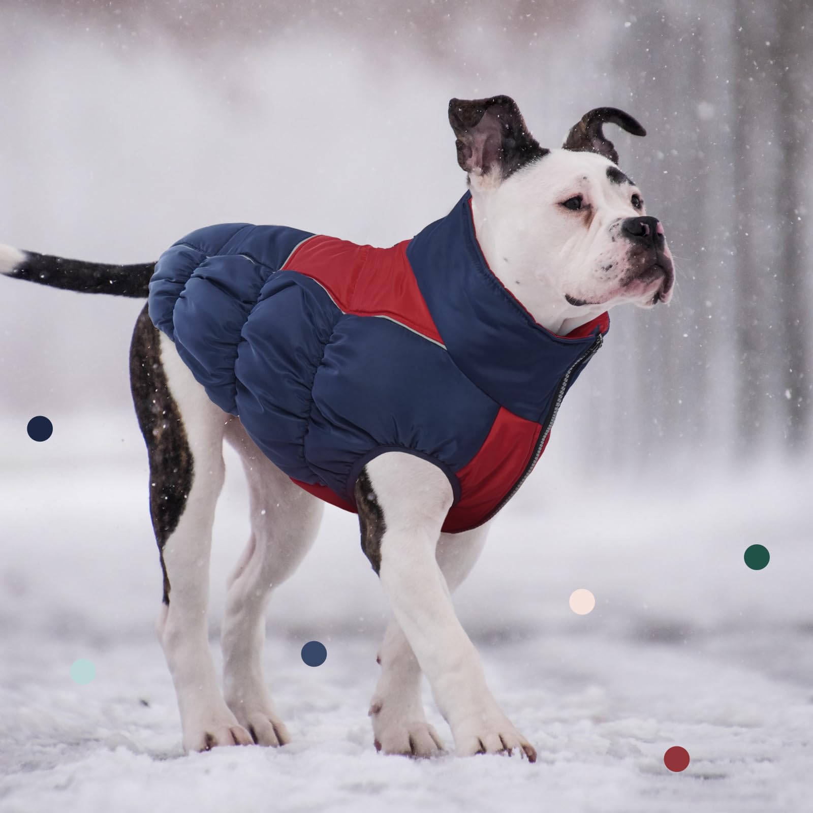 IECOii chaqueta para perro XXL agujero para correa para paseos al aire libre