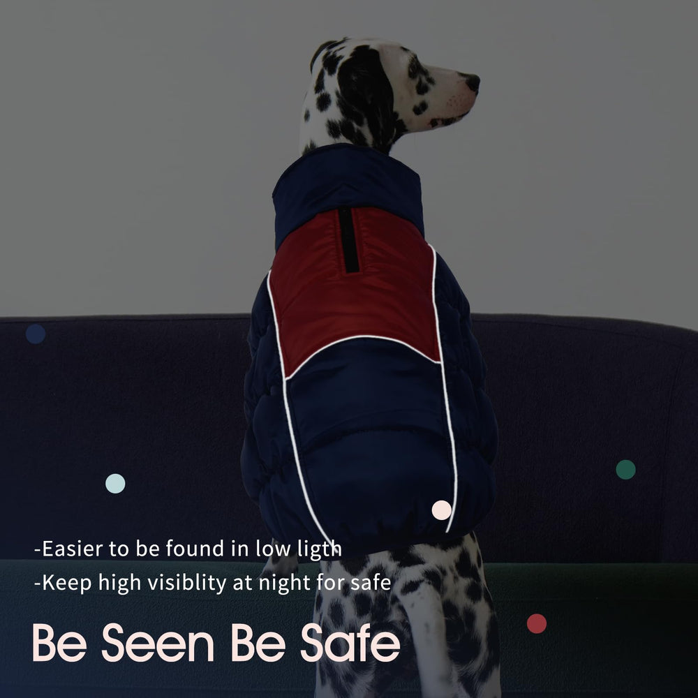 IECOii chaqueta para perro XXL tiras reflectantes para mayor visibilidad nocturna