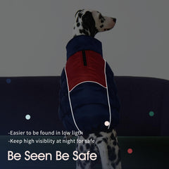 IECOii chaqueta para perro XXL tiras reflectantes para mayor visibilidad nocturna