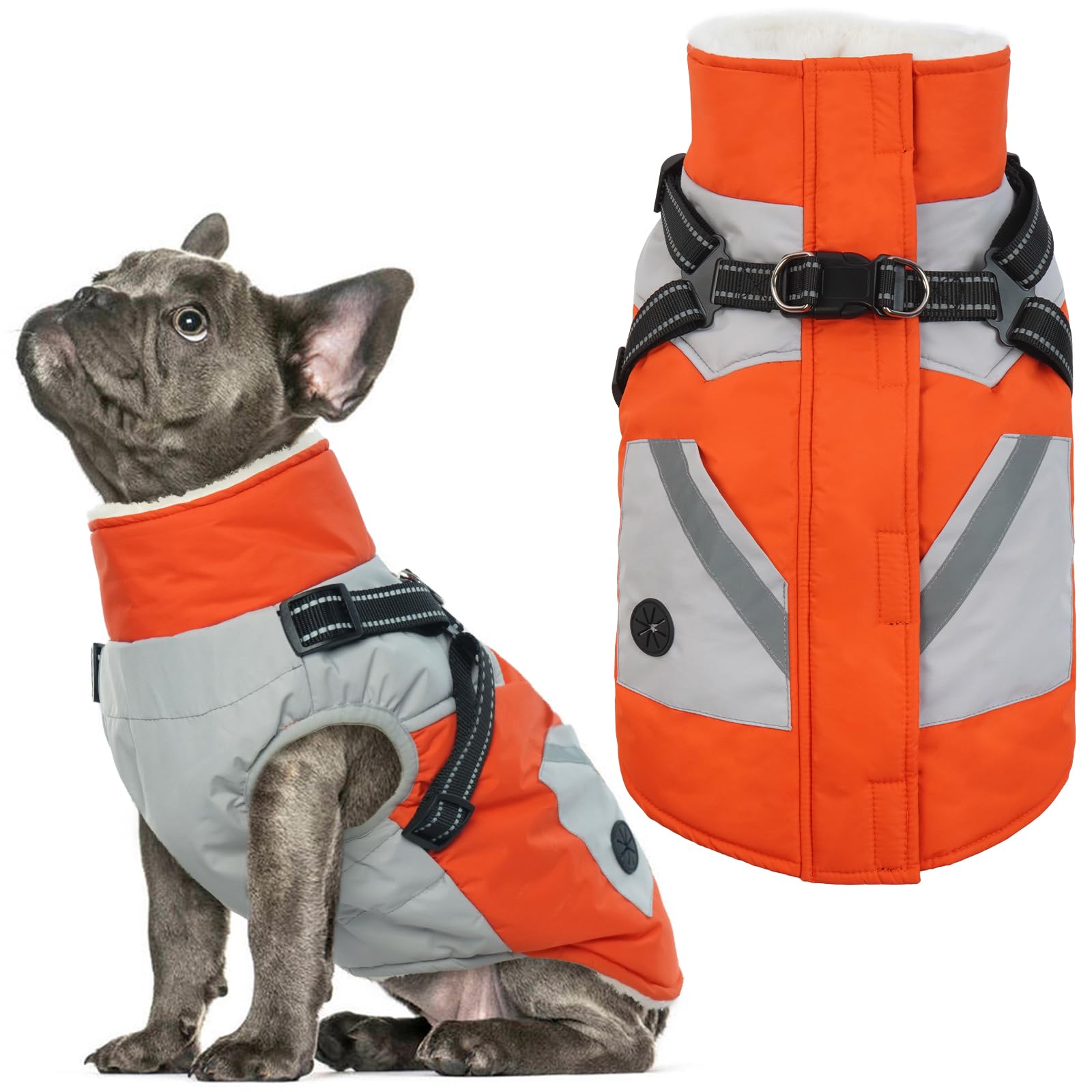 IECOii chaqueta para perro con arnés naranja, vista frontal, ideal para paseos seguros.