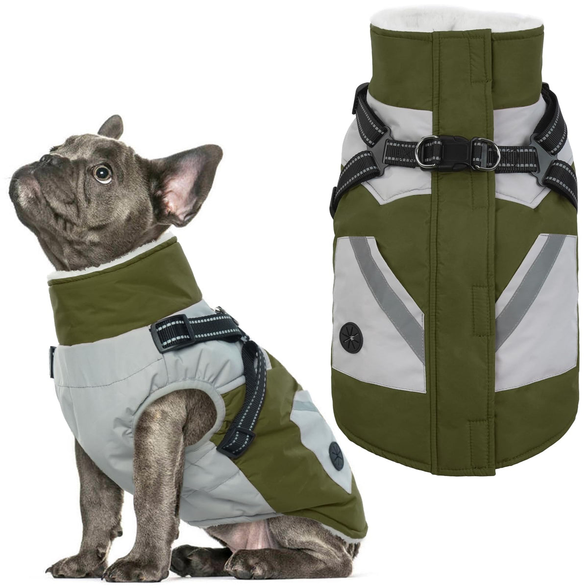 IECOii chaqueta para perro con arnés verde, vista general, protección y comodidad en paseos.