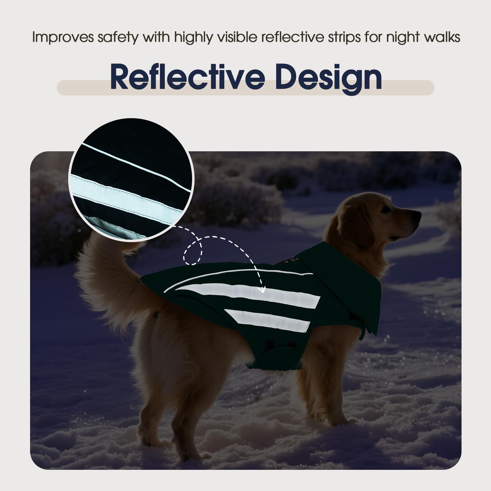 IECOii chaqueta en talla XXXL, adecuada para perros grandes.