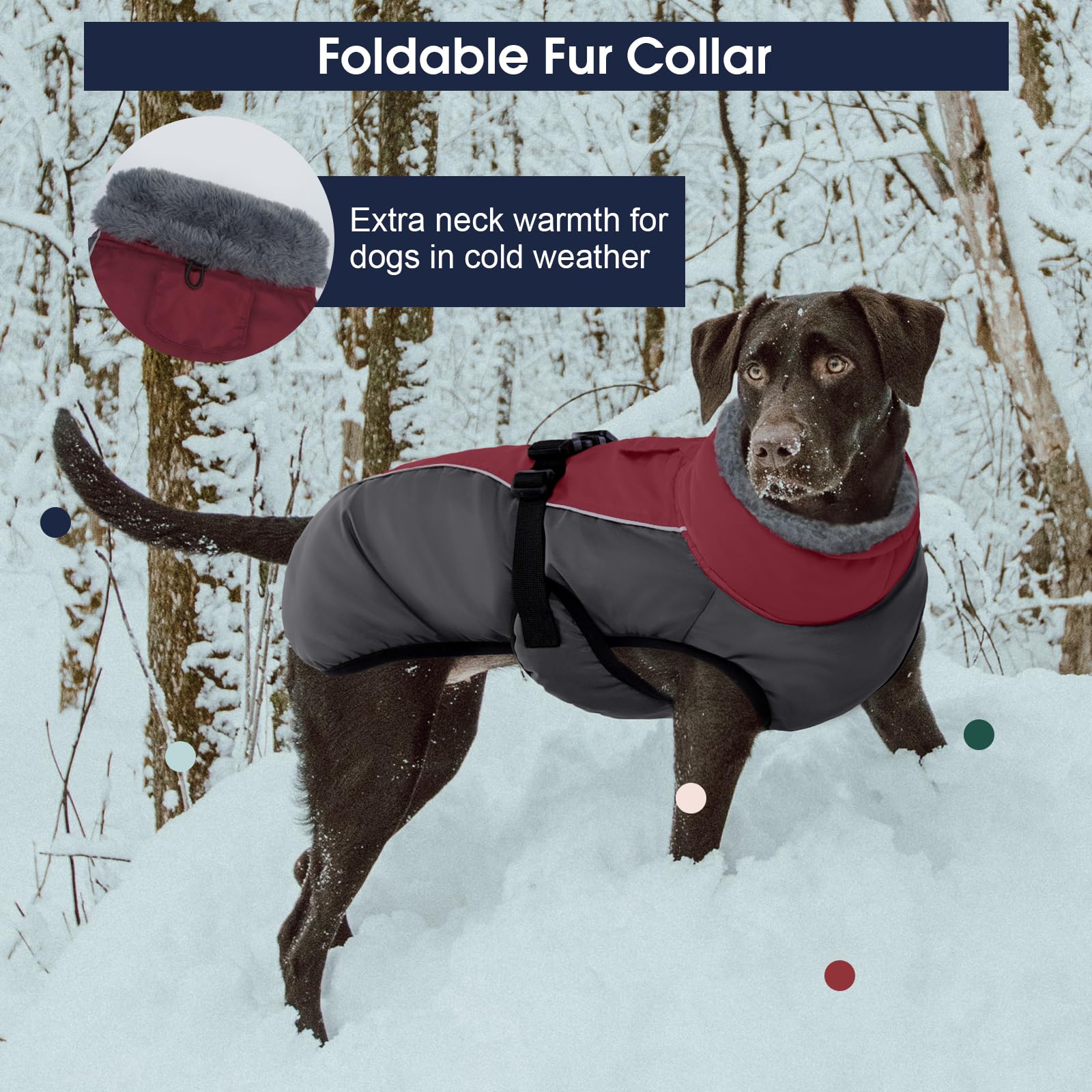 Tejido impermeable y a prueba de viento mantiene al perro seco.
