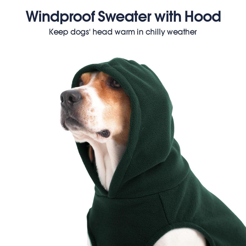 IECOii Dog Hoodie capucha: mayor abrigo para días fríos.