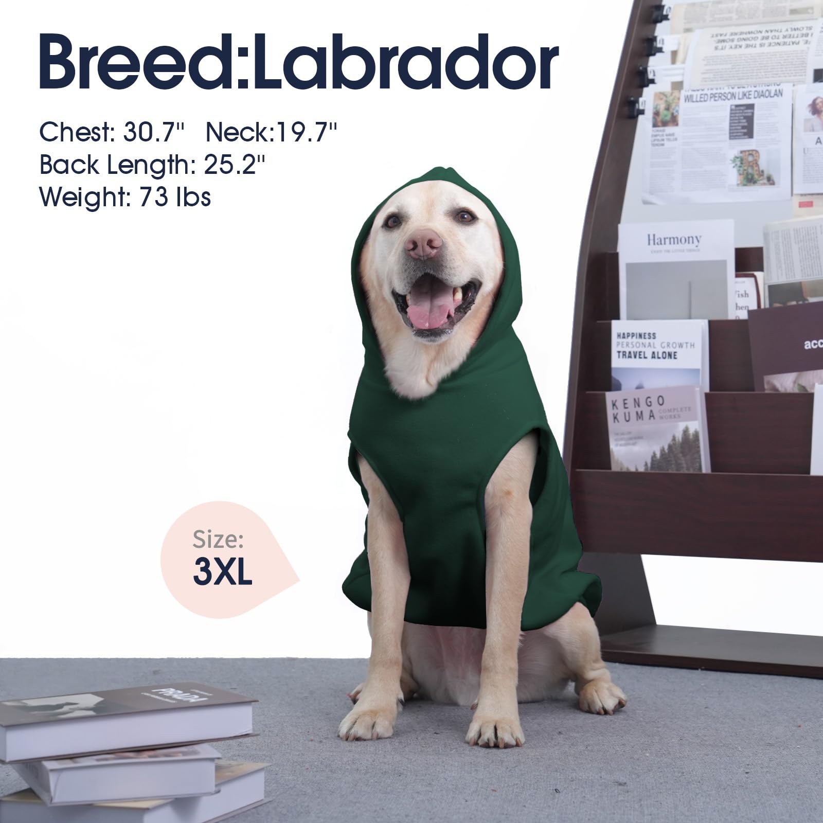 IECOii Dog Hoodie dimension-mediana: cobertura cálida sin sobrecalentamiento.