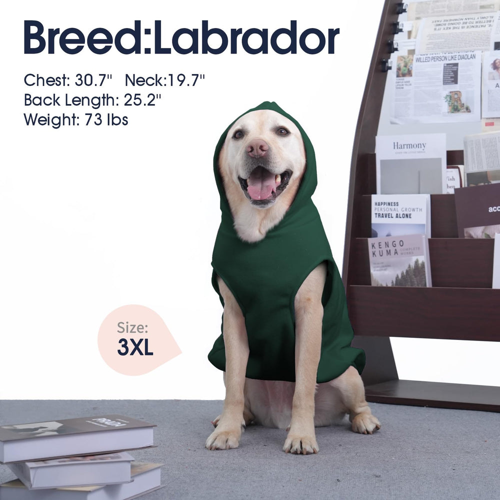 IECOii Dog Hoodie dimension-mediana: cobertura cálida sin sobrecalentamiento.