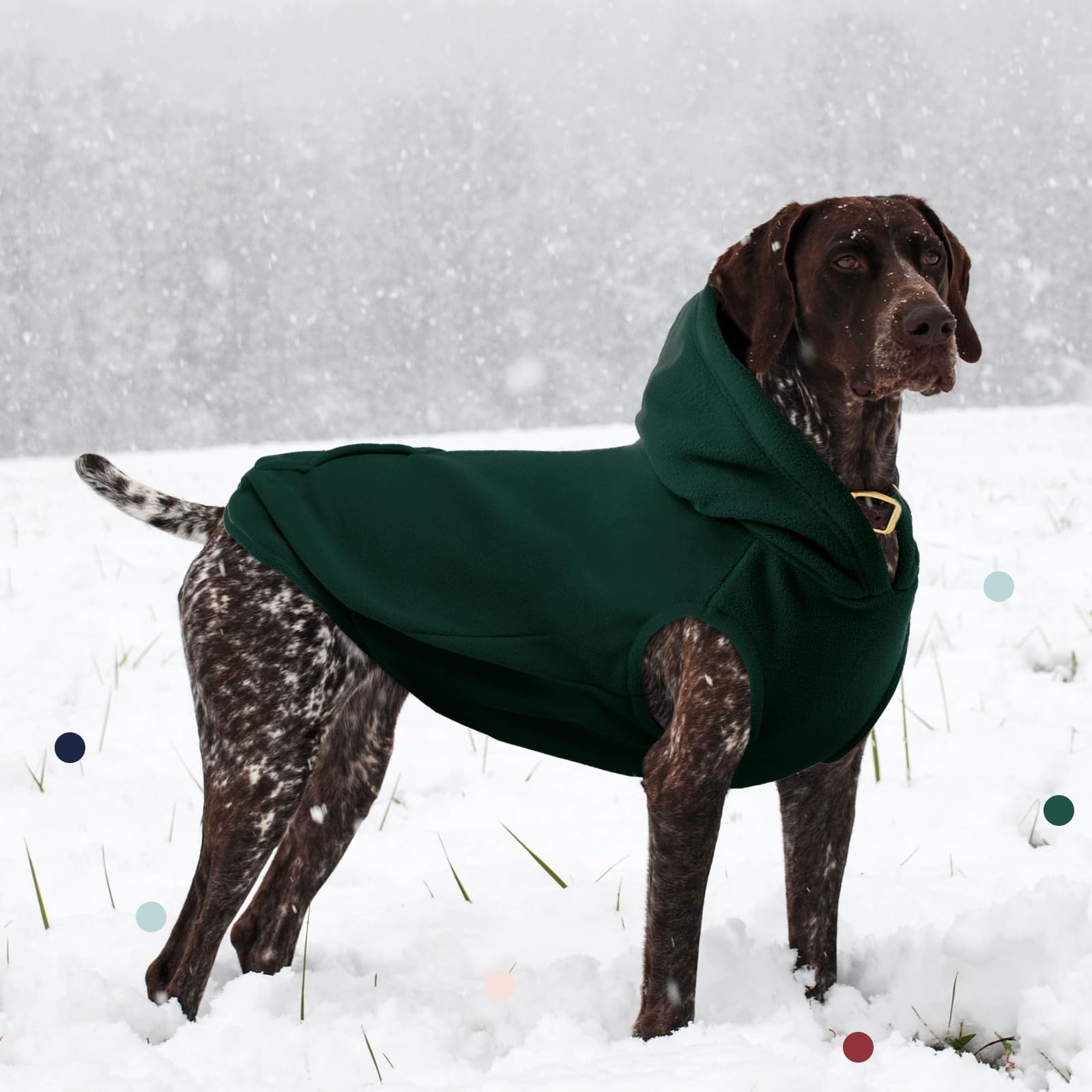 IECOii Dog Hoodie lavado-maquina: cuidado sencillo para dueños ocupados.