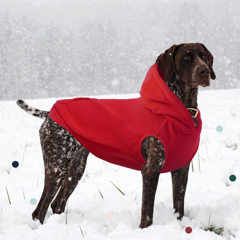 IECOii sudadera polar para perros paseos en clima frío: uso práctico