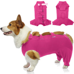 IECOii mono de recuperación para perros frontal, protege la herida sin limitar movimientos