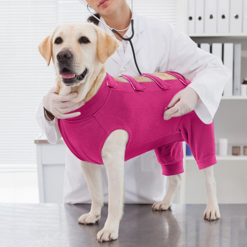 IECOii mono para perros de tallas S a 3XL, ajuste seguro