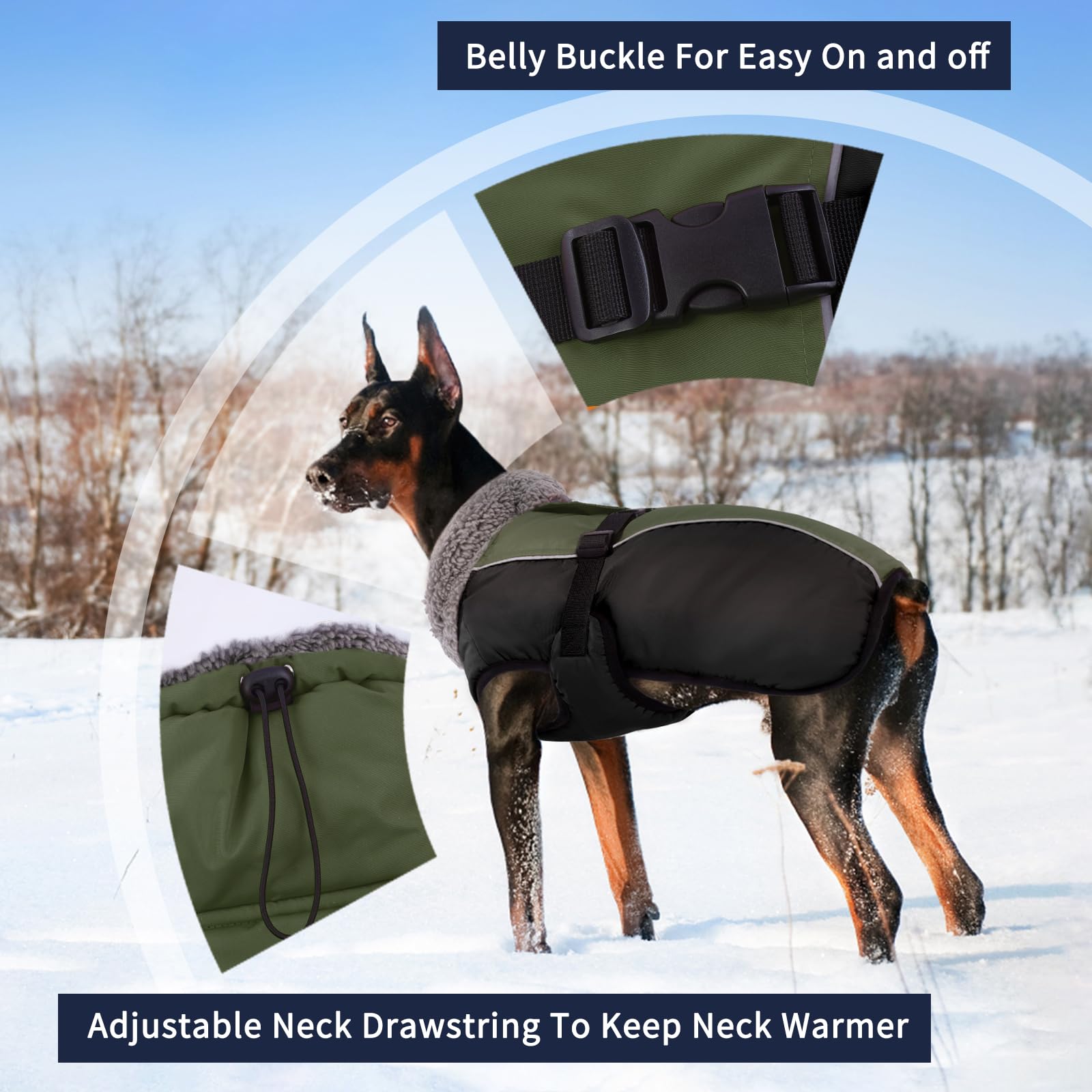 Chaqueta resistente al viento para perros en exterior