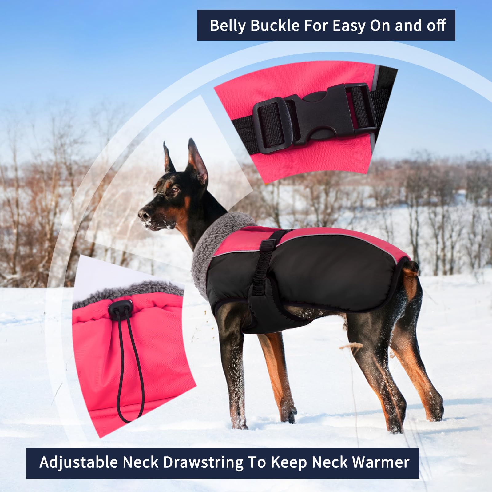IECOii chaqueta canina con cuello alto ajustable para protección