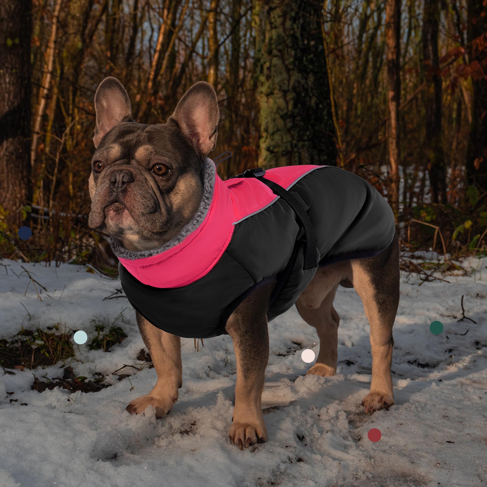 IECOii chaqueta de perro tejido resistente al viento y lluvia ligera