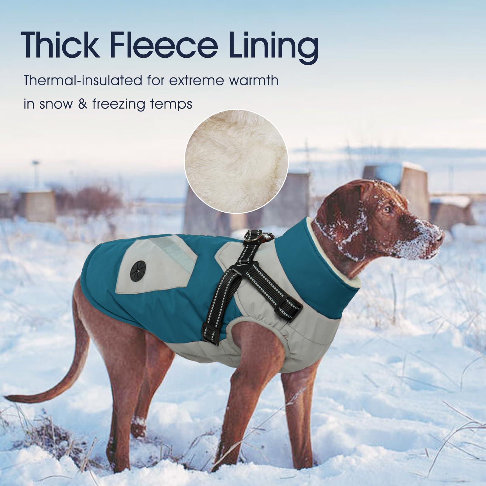 IECOii chaqueta con bolsillos traseros para snacks y accesorios.