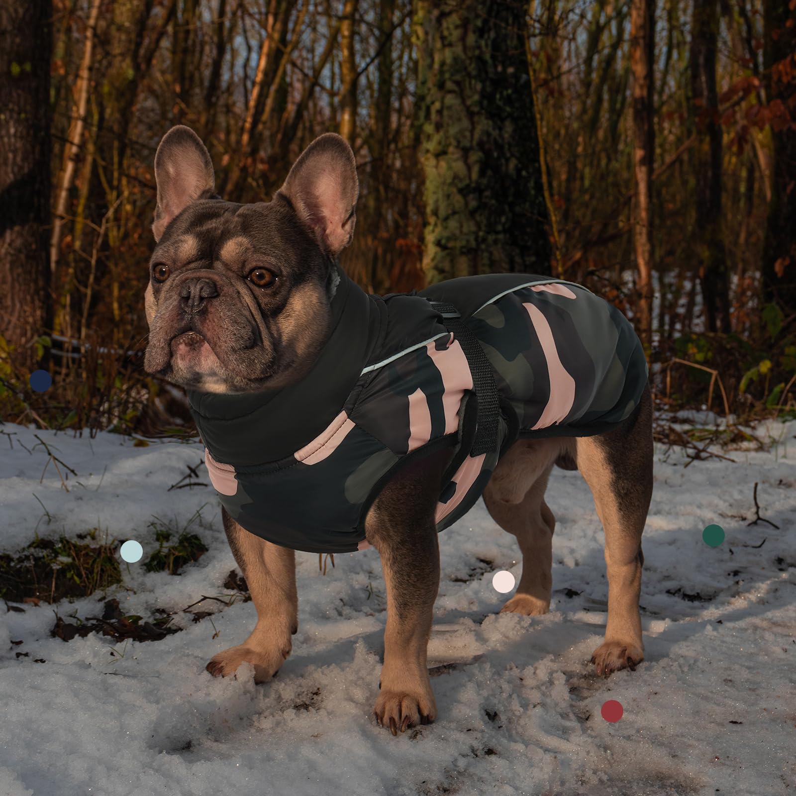 IECOii abrigo para perros, agujero para arnés para paseos seguros