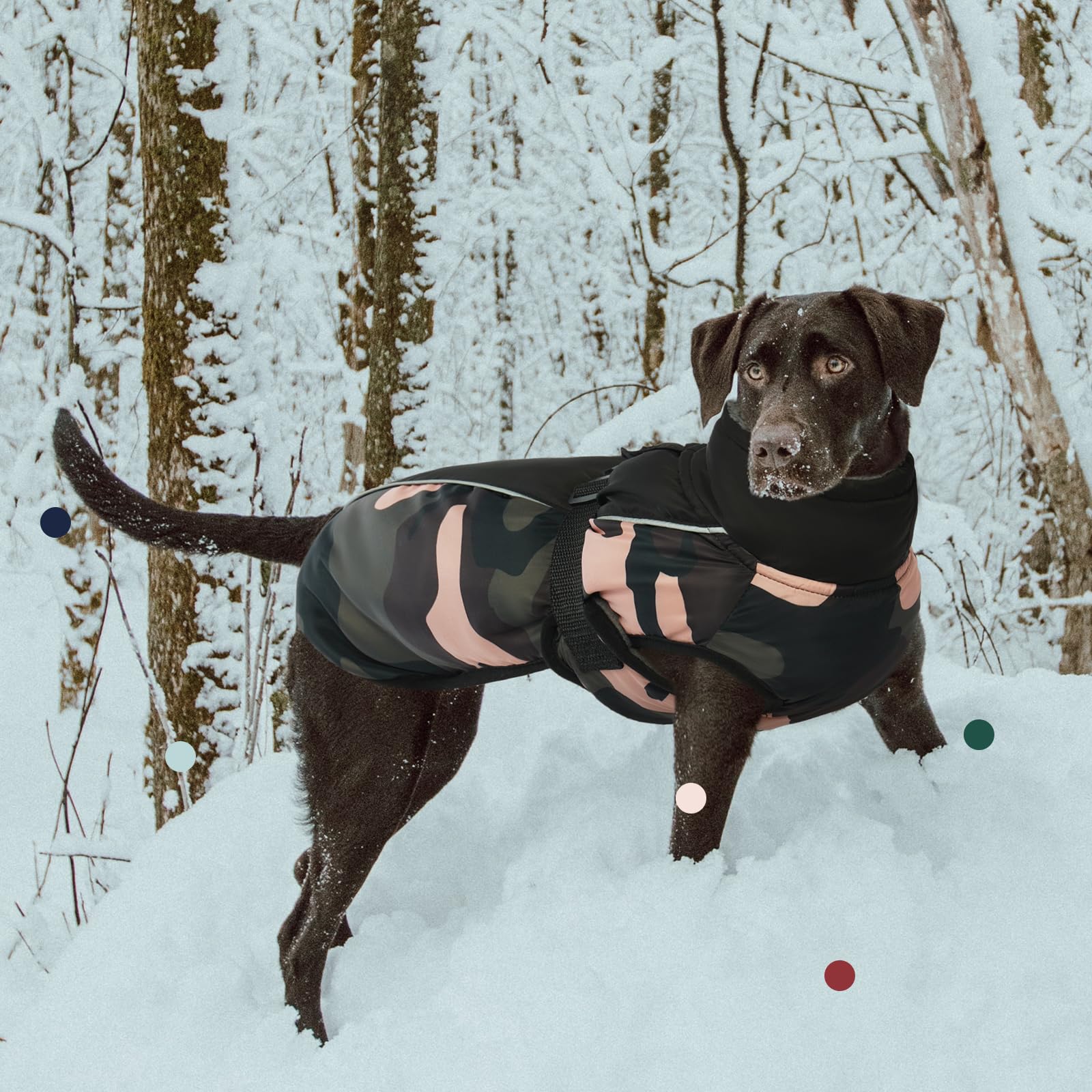 IECOii abrigo para perros, banda reflectante para mayor visibilidad nocturna
