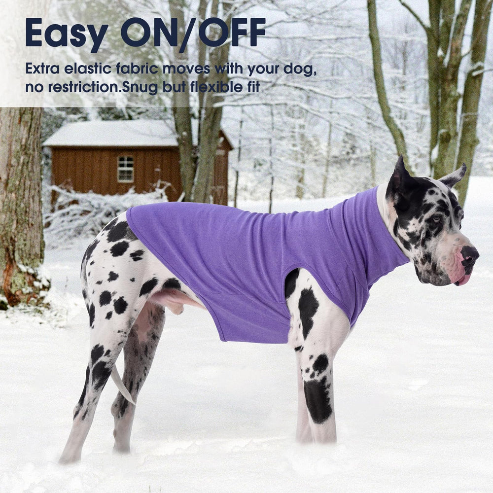 IECOii sudadera 4XL morada en-calle, ideal para salidas cotidianas.