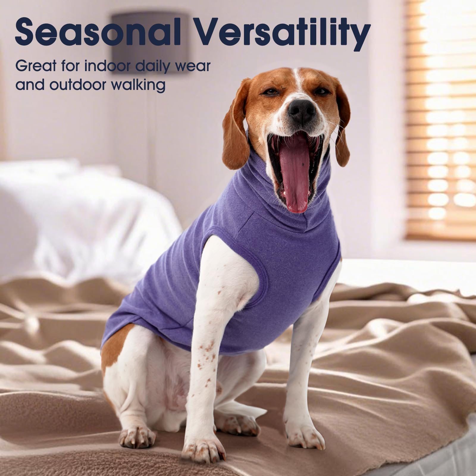 IECOii sudadera 4XL morada lavado-maquina, fácil de cuidar y mantener.