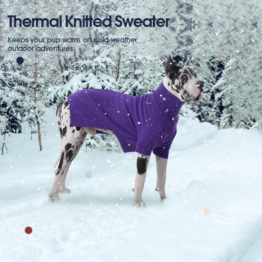 IECOii sudadera para perro, colores variados para combinar con cualquier atuendo.
