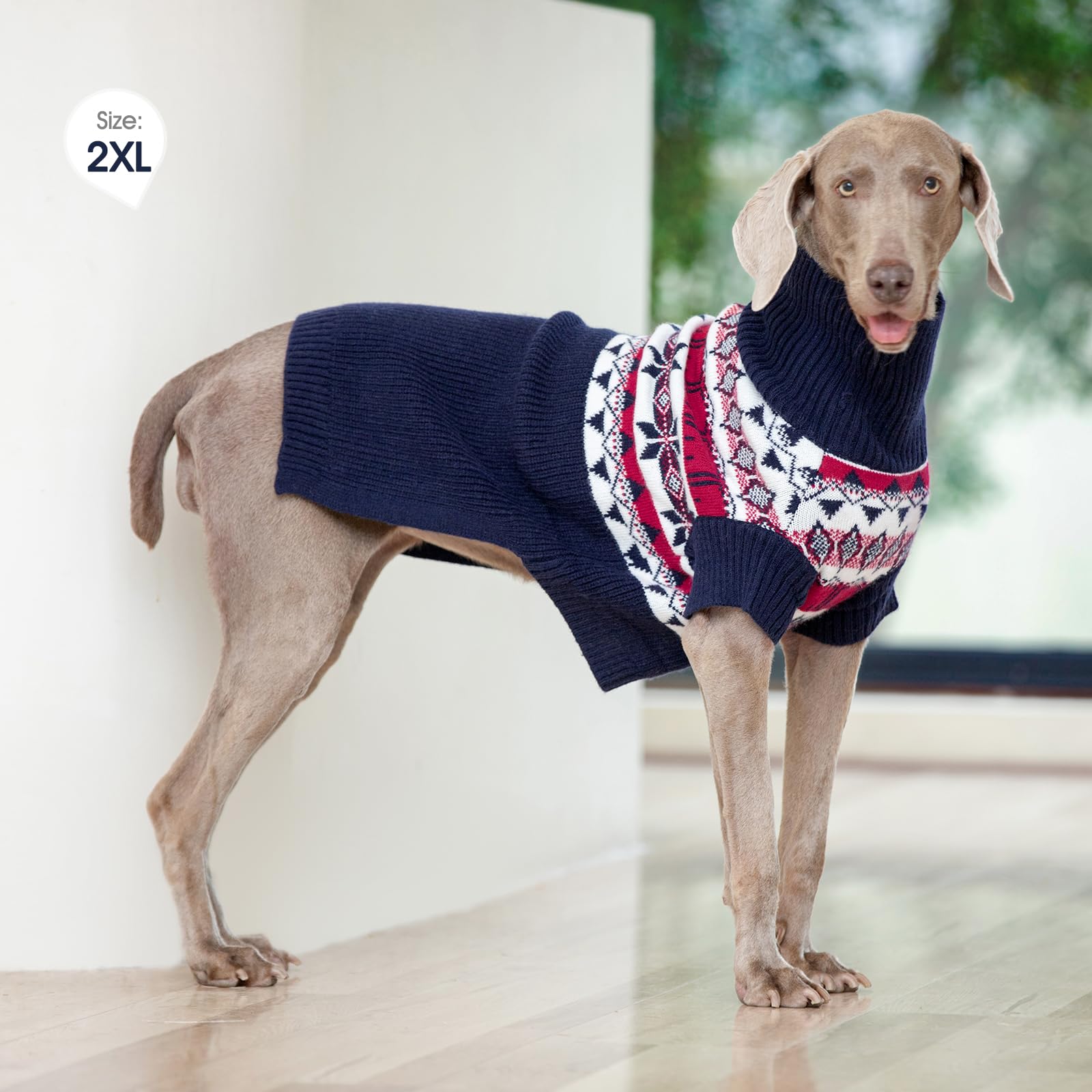 IECOii sudadera para Dobermann, abrigo cálido para días fríos.