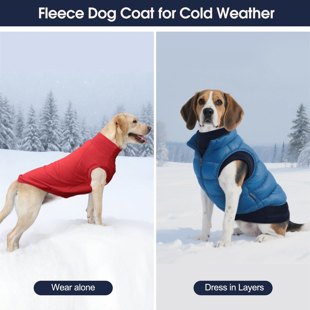 Talla XXL de IECOii para perros grandes, ajuste cómodo y seguro