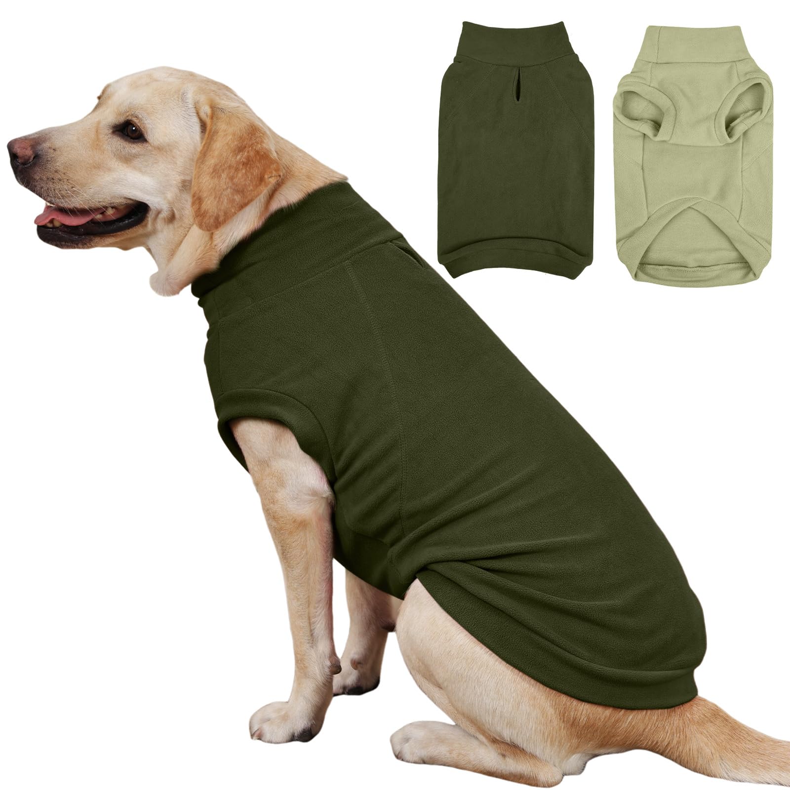 IECOii sudadera para perro grande en verde claro, ideal para paseos fríos.