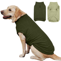 IECOii sudadera para perro grande en verde claro, ideal para paseos fríos.